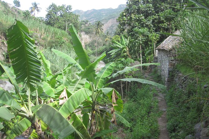 Santo Antão: Day Trip by Car or Trek - Looking into Cova Crater