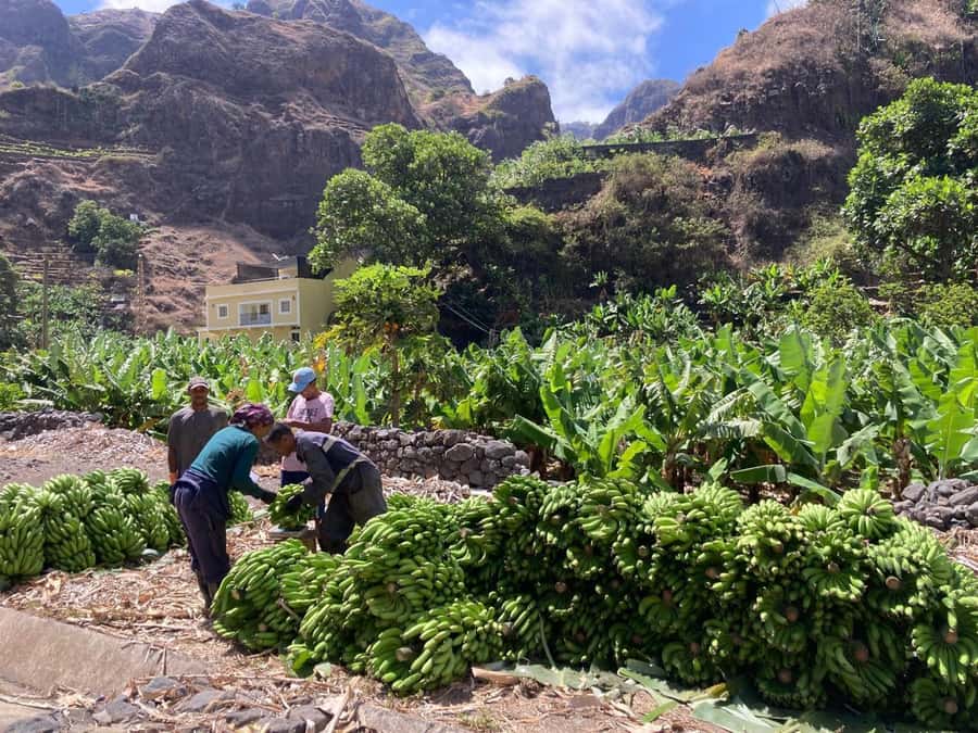 Santo Antão Highlights: Day Trip by Car with Ferry from SV - Why Santo Antão makes a strong day trip