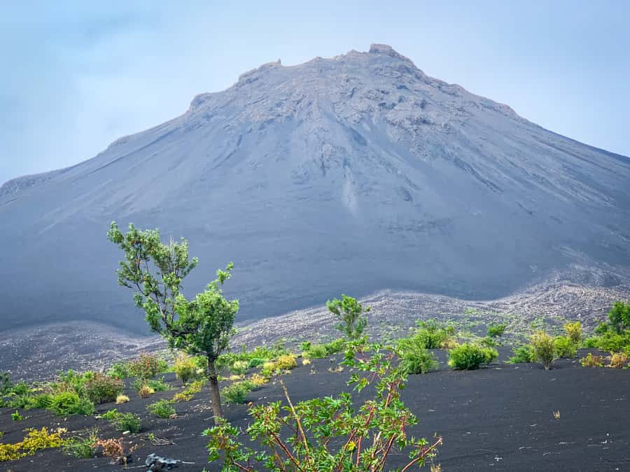 Sao Filipe: Coffee Plantation and Natural Pools Day Trip - Why this Fogo day trip works
