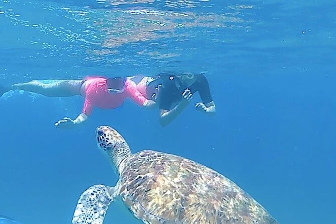 São Pedro experience (hiking & snorkeling with turtles) - Key points to know before you book