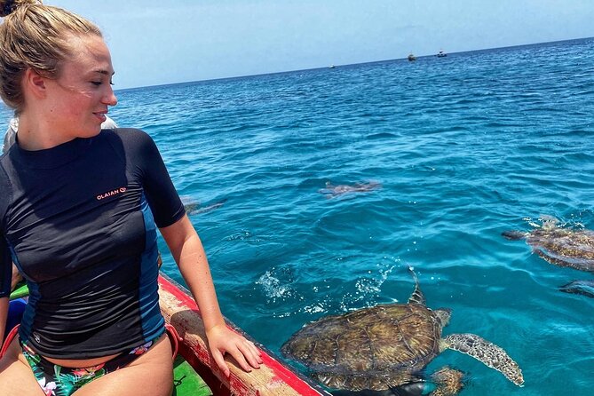 São Pedro experience (hiking & snorkeling with turtles) - Swimming with turtles in the clear bay