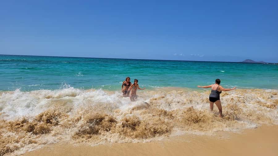 São Vicente Full Day - Key points to know before booking