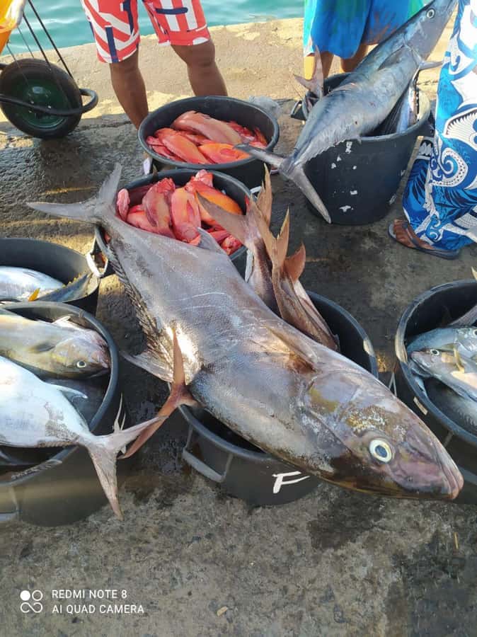 São Vicente Half Day - Why this São Vicente half-day works