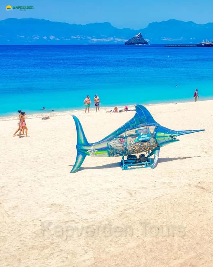 São Vicente: Highligts tour for cruise ship travelers - Mindelo’s market, city hall, and cultural center