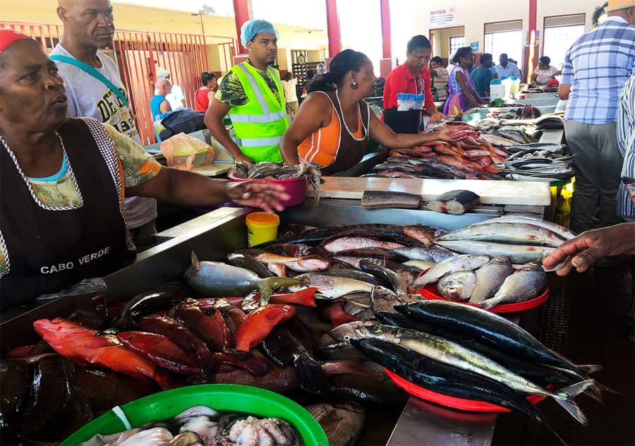 São Vicente Island: Full-Day Tour - Who should book this experience?