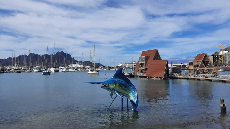 São Vicente: Markets, Beaches and Natural Park Tour - Key points to know before booking