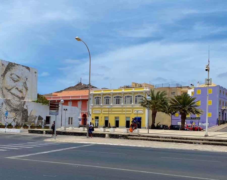 São Vicente: Snorkel with Sea Turtles Adventure - Booking details worth checking