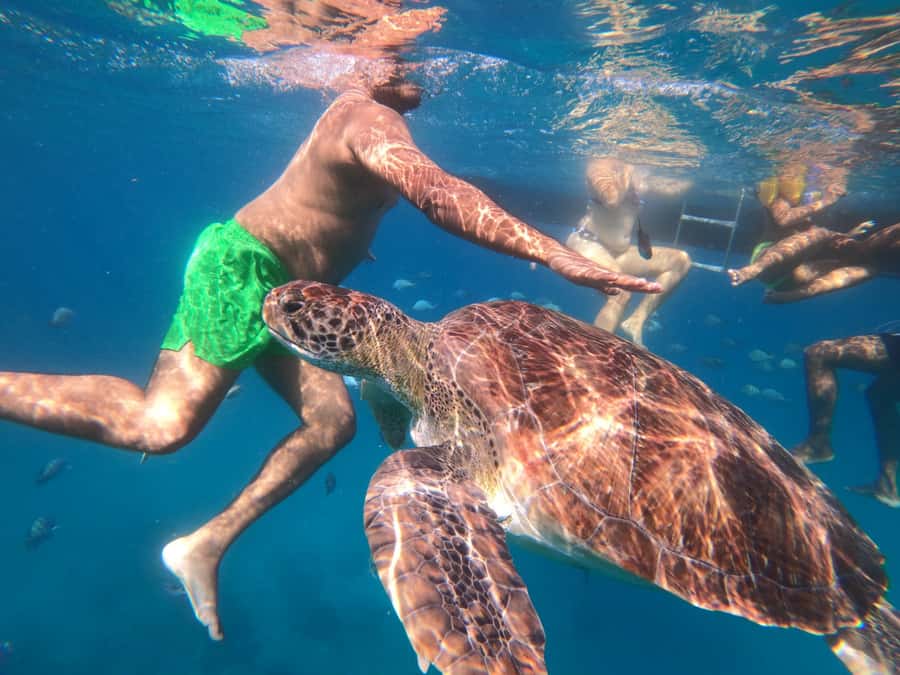 São Vicente: Snorkeling with Turtles Breathtaking Experience - The local boat ride is part of the point