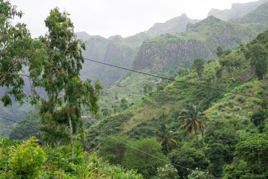 Serra Malagueta Natural Park: Hike to Gongon Valley & Lunch - Why Serra Malagueta is worth the effort