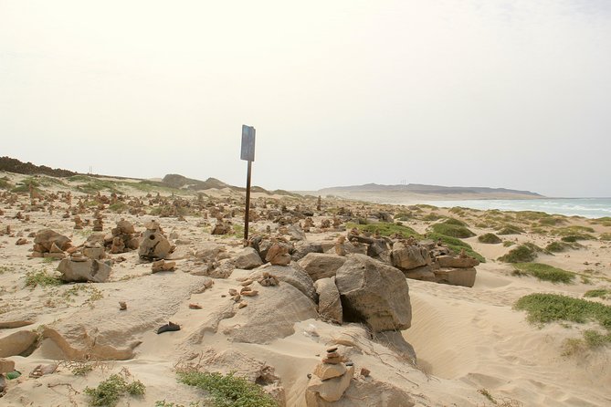 Shipwreck Cabo Santa Maria - A four-hour route with a sensible mix