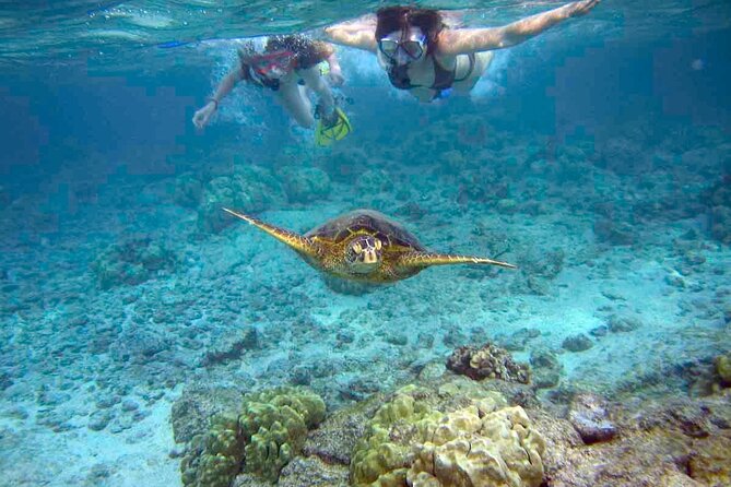 Snorkeling Experience in Santa Maria Bay by boat - Key points at a glance