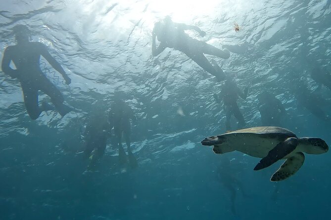 Snorkeling Experience in Santa Maria Bay by boat - Price and overall value at $34.84