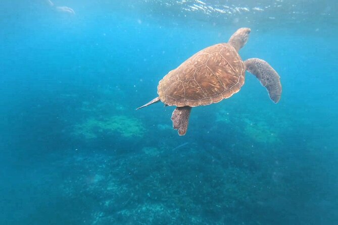 Snorkeling Experience in Santa Maria Bay by boat - Getting ready with mask, snorkel, and fins