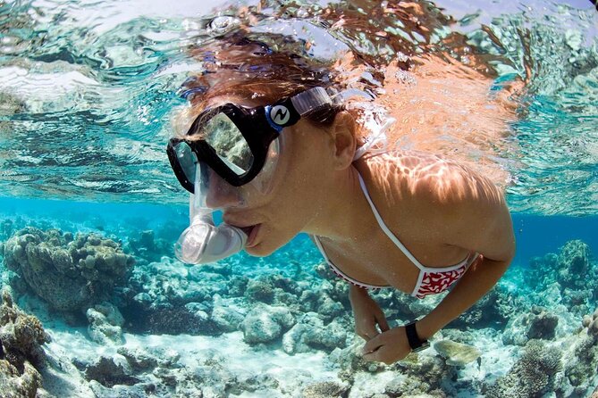 Snorkeling Tour - From the meeting point to the boat