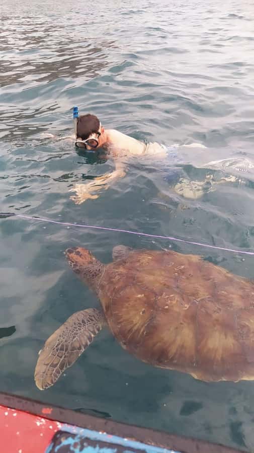 Snorkeling with Turtles - Why São Pedro is the focus