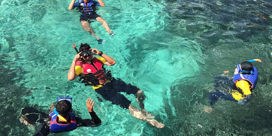 Snorkeling with turtles at Sao Pedro's Beach - Is $88 a fair price?