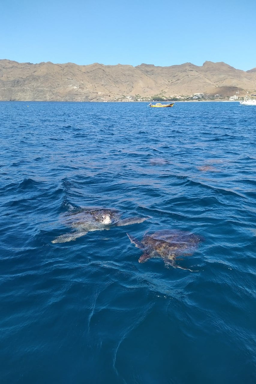 Snorkeling with turtles at Sao Pedro's Beach - The transfer from your hotel to the beach