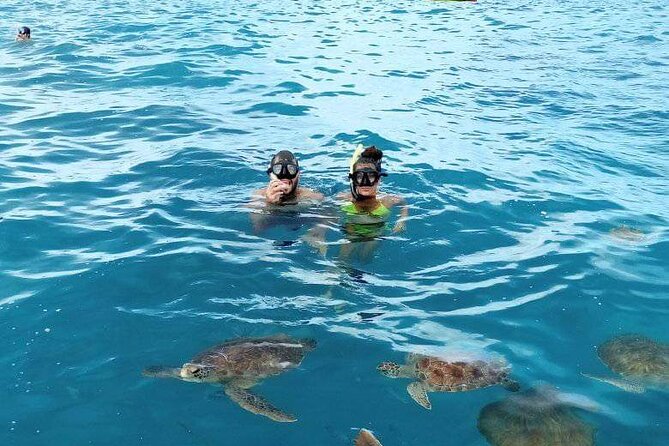 Spectacular experience with sea turtles - Booking ahead and choosing the right day