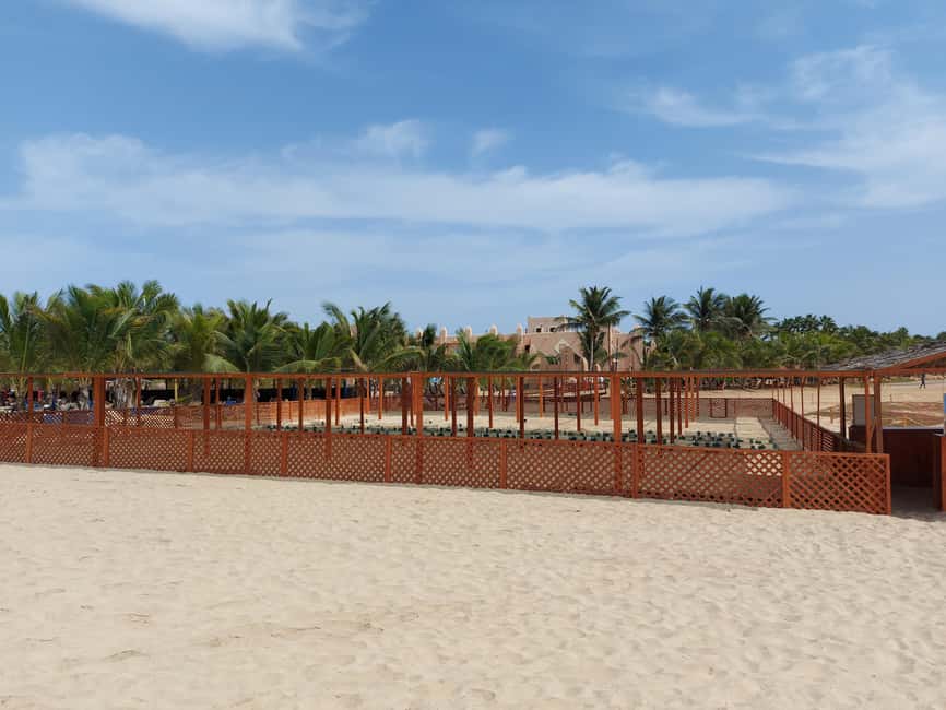 Turtle watching in Boa Vista Island - The 7 p.m. Hotel Pickup and 4x4 Ride