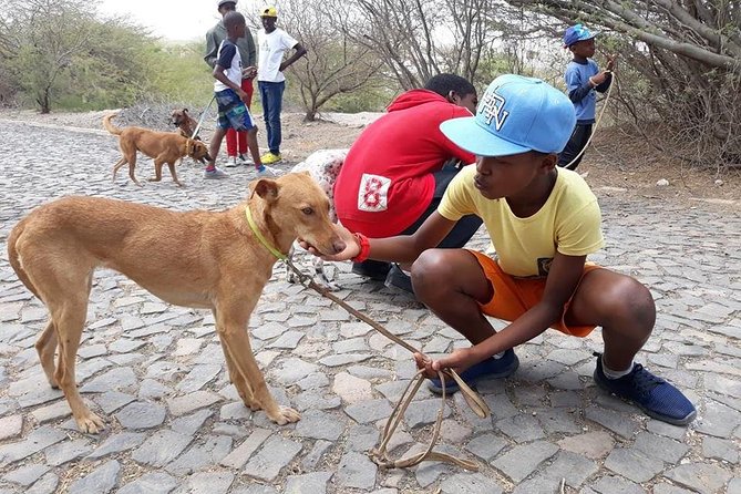 Volunteering with animals in Sao Vicente! - Small practical details that matter